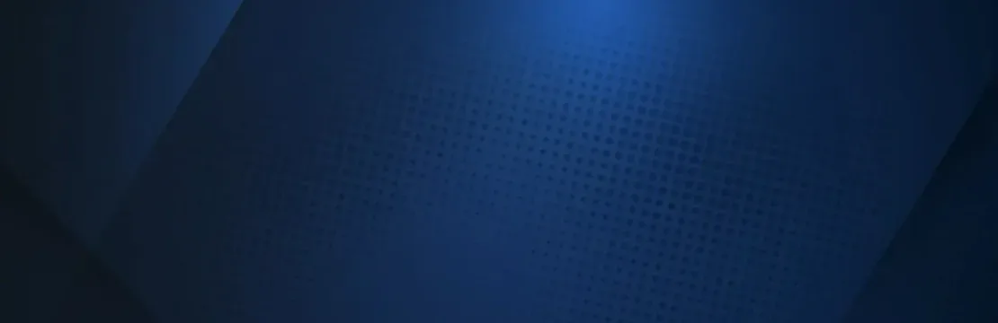 Vegashero